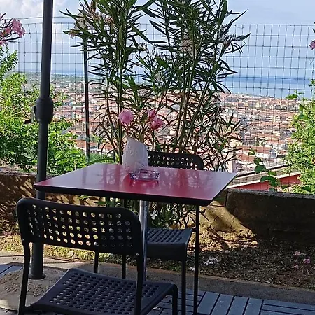 Collemare